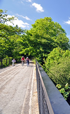 Torrington commons and the Tarka Trail